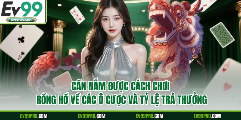 Cần nắm được cách chơi Rồng Hổ về các ô cược và tỷ lệ trả thưởng
